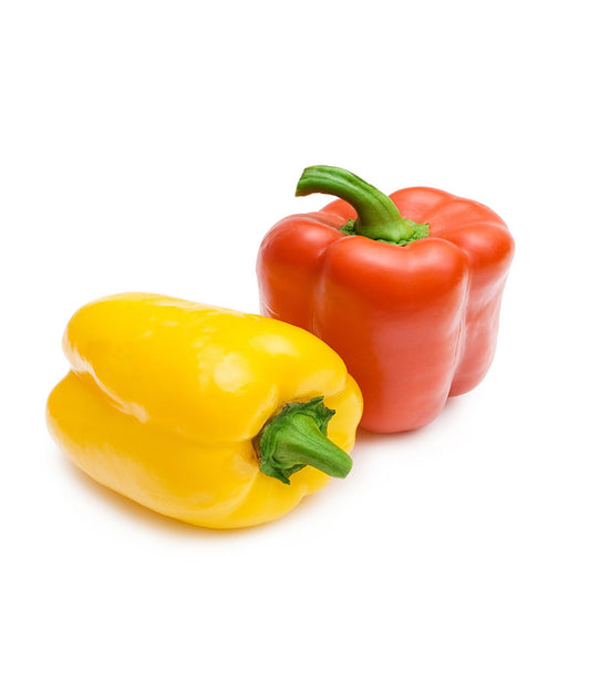 Capsicum
