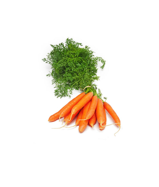 Carrot