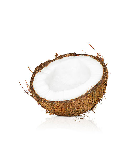 Coconut