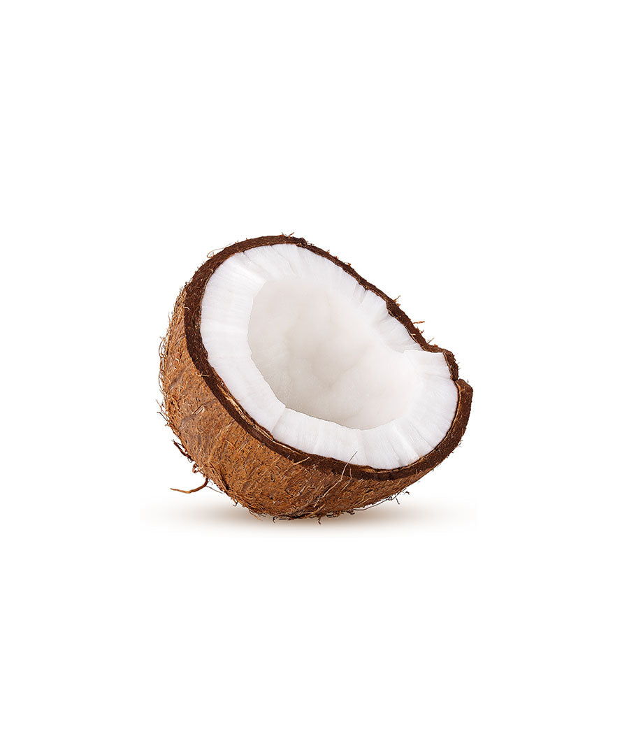Coconut