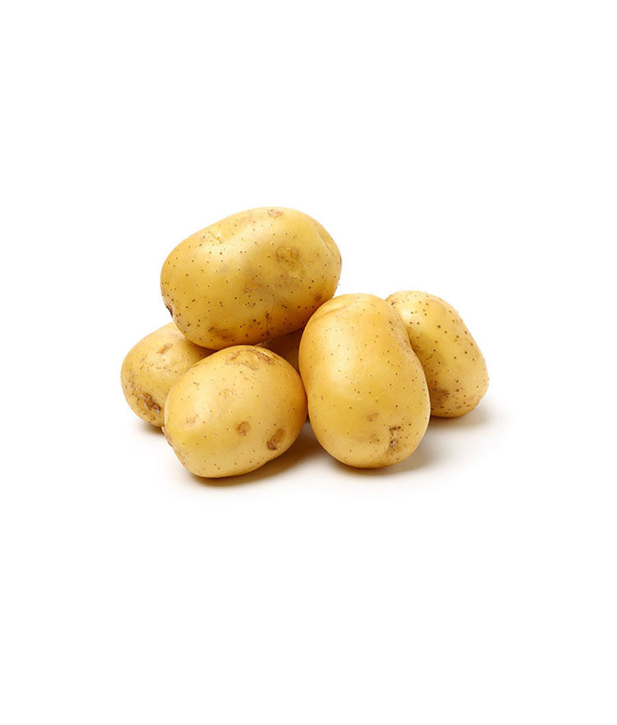 Potato