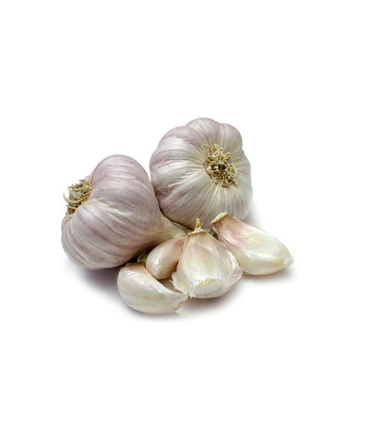 Garlic