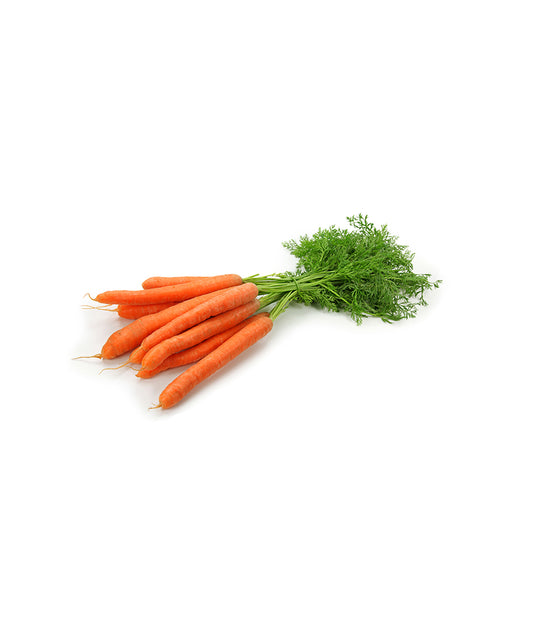 Carrot