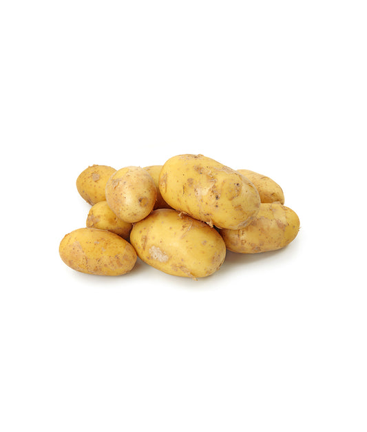 Potato