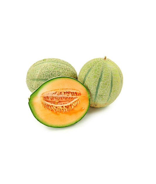 Pumkin