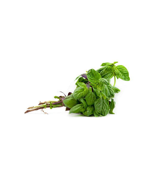 Basil Leaves