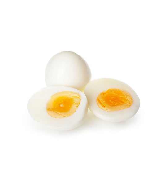 Chicken Egg