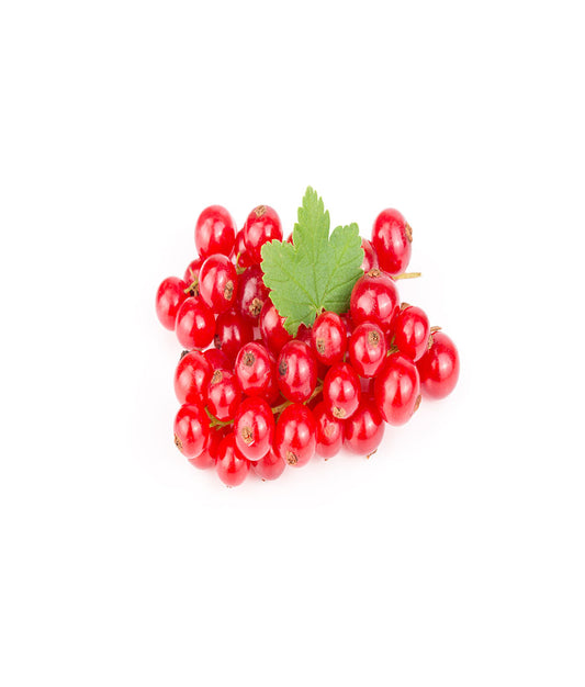Elderberry