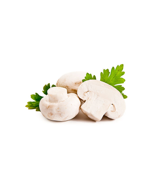 Mushroom Button