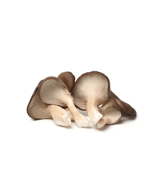 Flower Mushroom